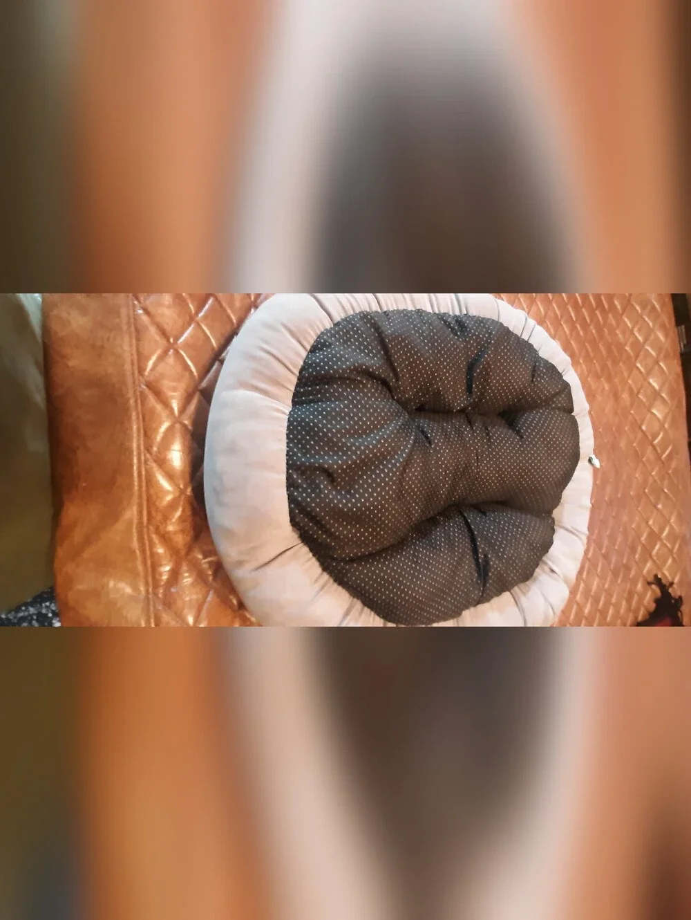 New Cozy Round Cream Pet Bed